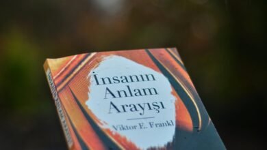 commercial insights digest overview