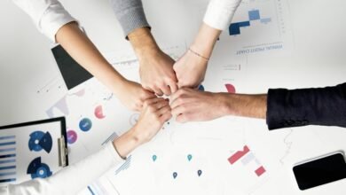 executive sector dynamics overview