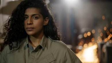 industry insight digest summary