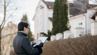 market assessment and forecast